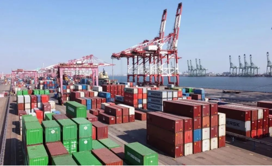 Ocean Freight Alert: Is the Shipping Price Surge Finally Slowing Down?