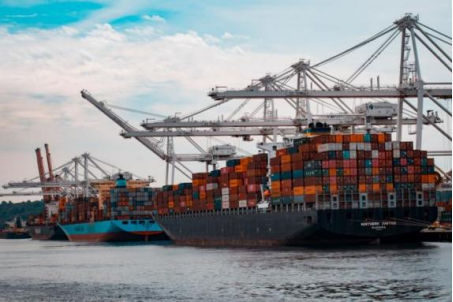 Ultimate Guide to U.S. Customs Inspections: Avoid Costly Mistakes